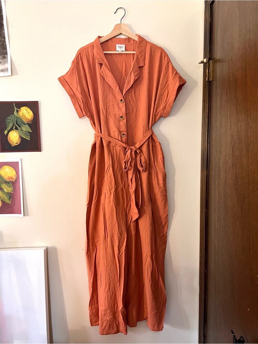 Hayden Rust Orange Button-Front Jumpsuit with Tie Waist